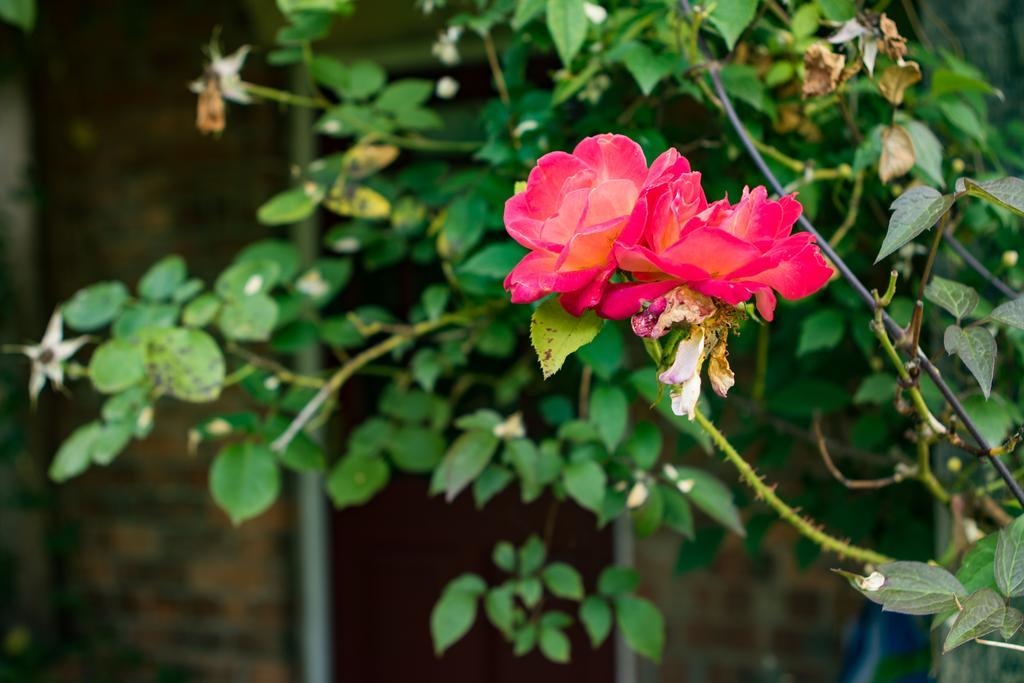Mareham House Bed & Breakfast Sleaford Bagian luar foto