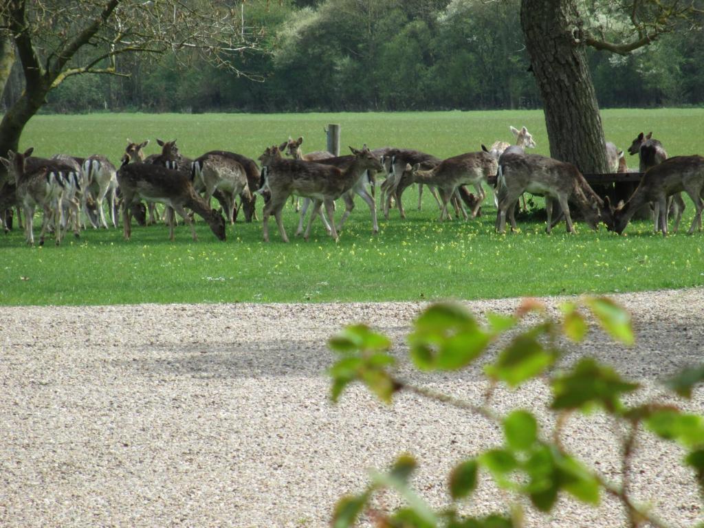 Mareham House Bed & Breakfast Sleaford Bagian luar foto
